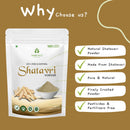 Sorence Natural Shatavari Powder