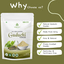 Sorence Natural Guduchi Powder